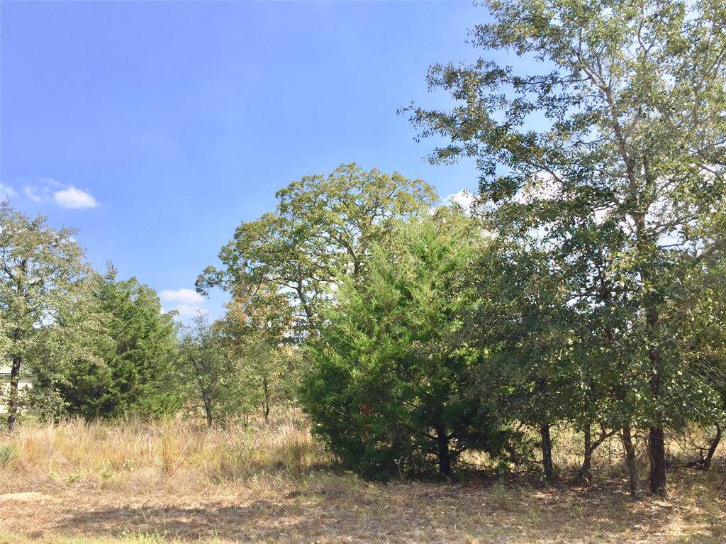 222 Elizabeth - Photo 1