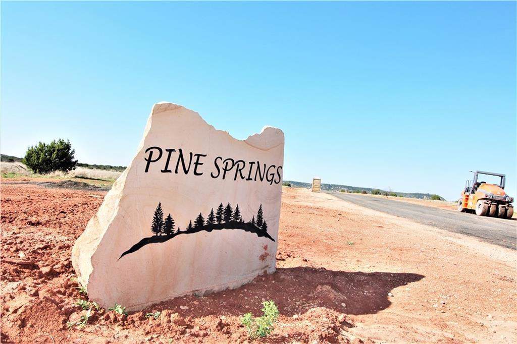 Lot 20 Pine Springs Cove - Photo 1