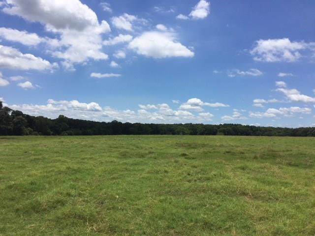 7808 Clear Creek Road - Photo 1
