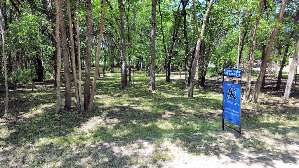 TBD County Road 3048 - Photo 1