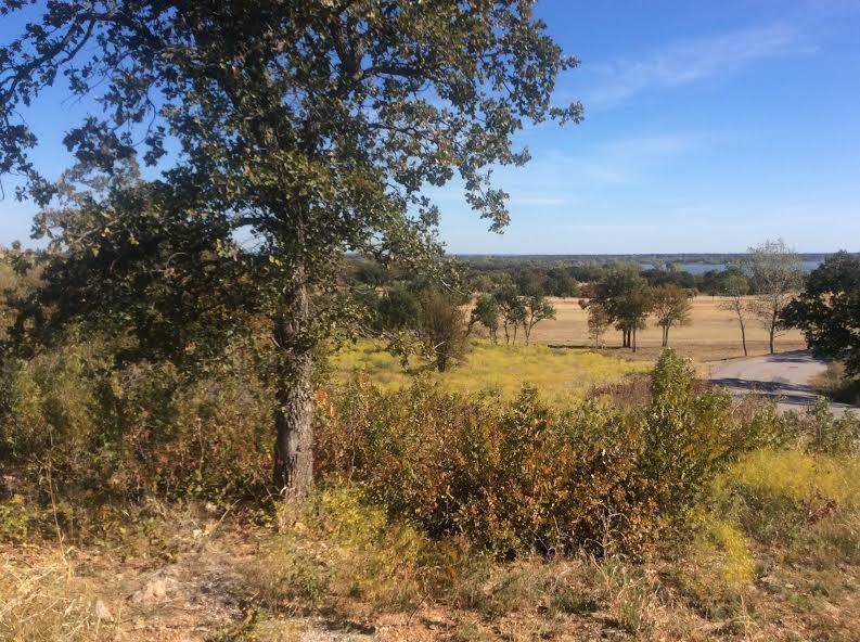 TBD Fairway Lt 17 Avenue - Photo 1