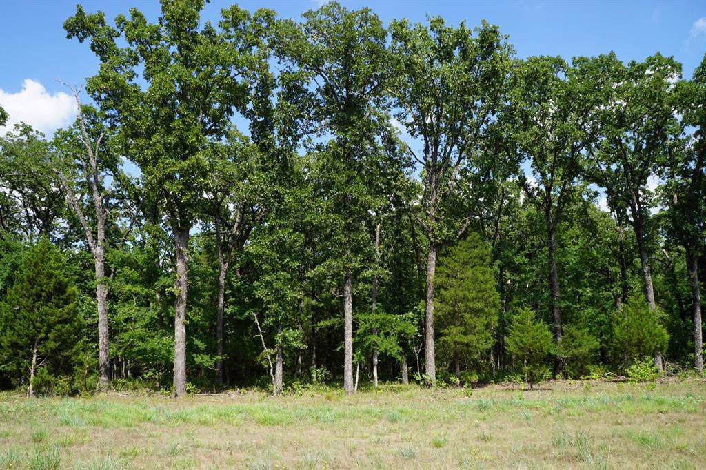 3355 County Road 1403 - Photo 1