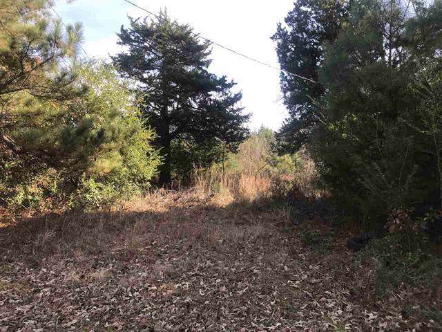 000 Haning Drive - Photo 1