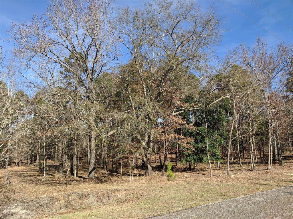 LT 378H Timber Ridge - Photo 1