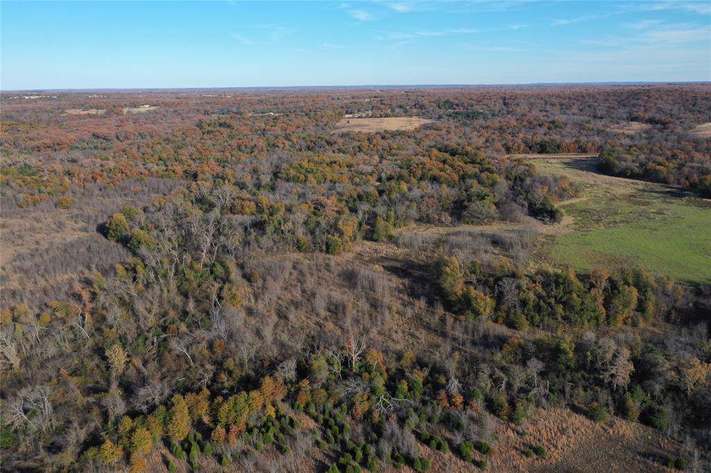 0 Vz County Road 2901 - Photo 1