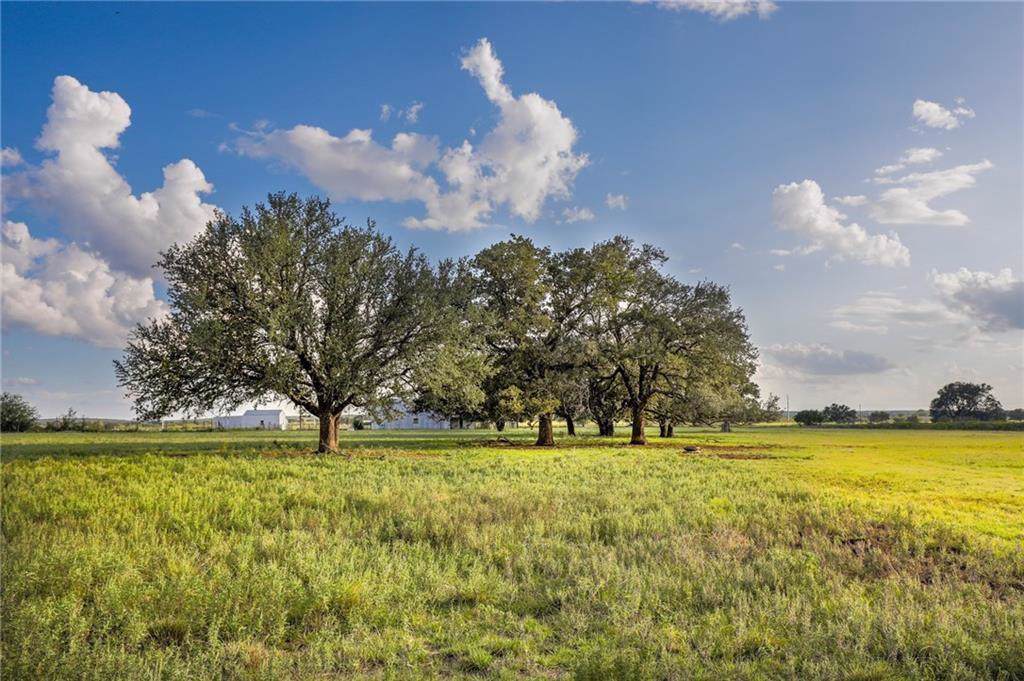 17515 Sh 254 - Photo 1