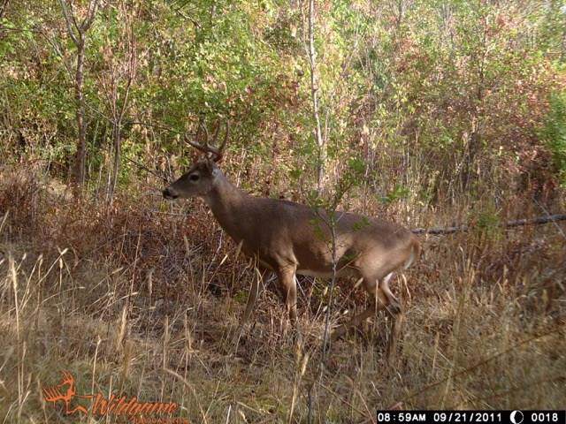 TBD Fcr 185 - Photo 1