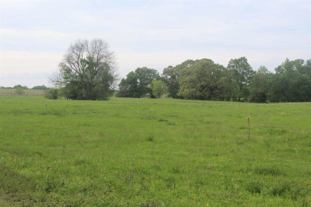 TBD Cr 1153 - Photo 1