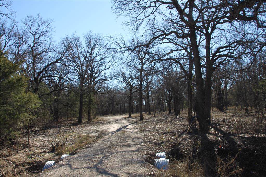 7050 Sabathney Road - Photo 1