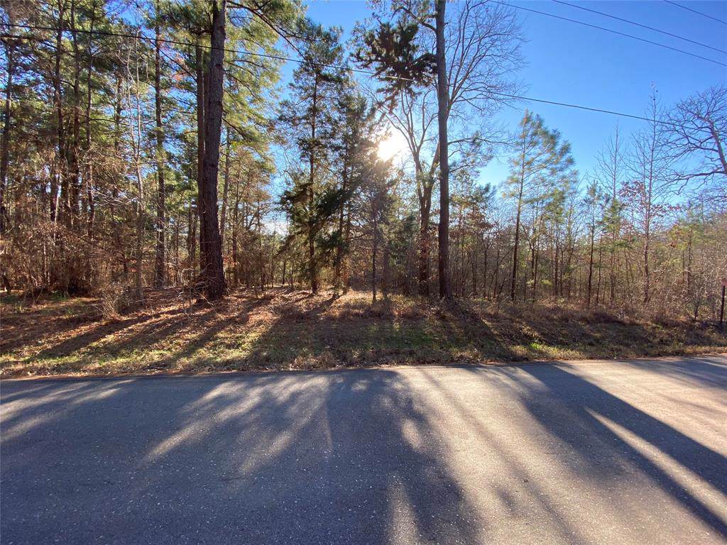 TBD An County Road 319 - Photo 1