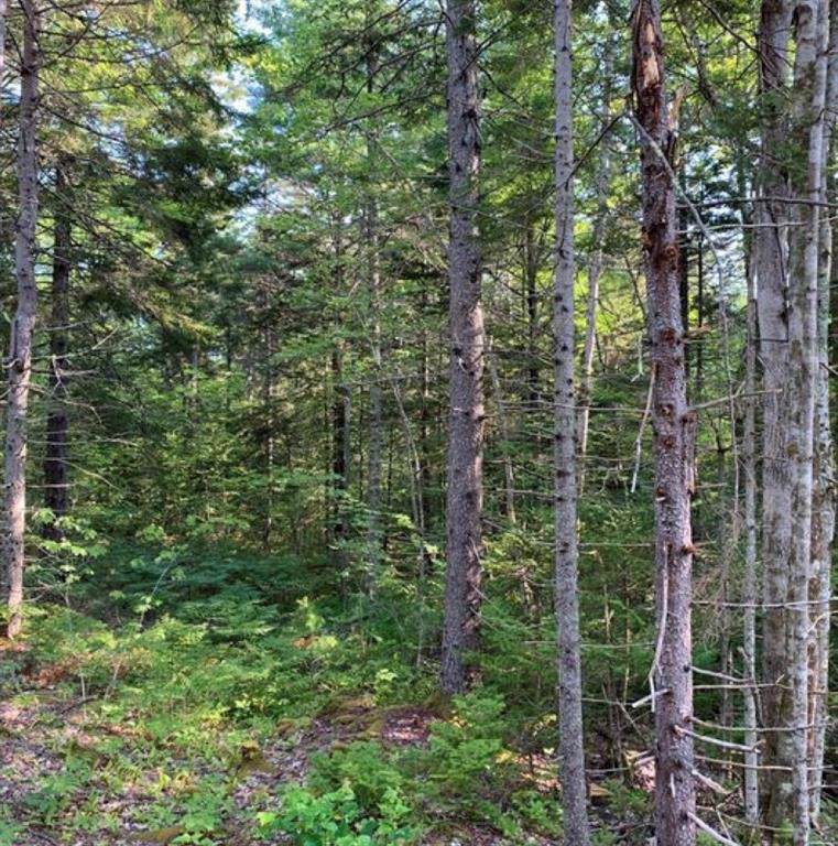 TBD County Road 2501 - Photo 1