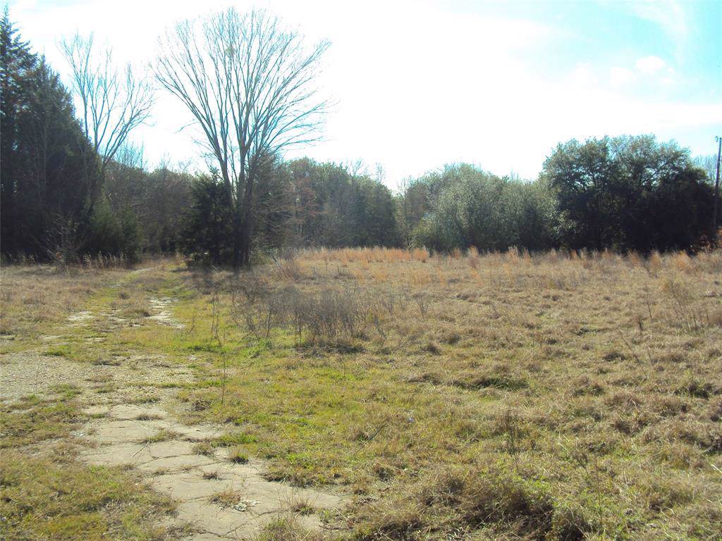000 Quail St. - Photo 1