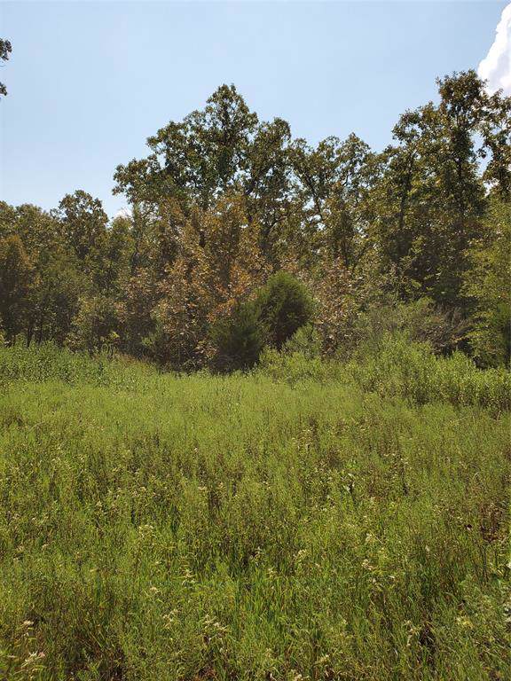 TBD Forest Creek Woods - Photo 1