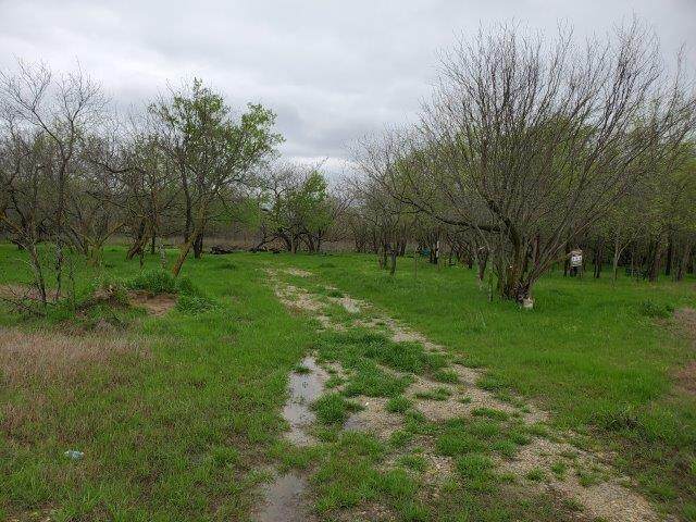 00 Fm Road 598 - Photo 1