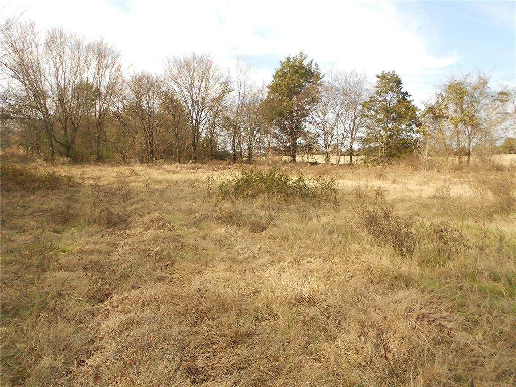 TBD Hwy 11 - Photo 1