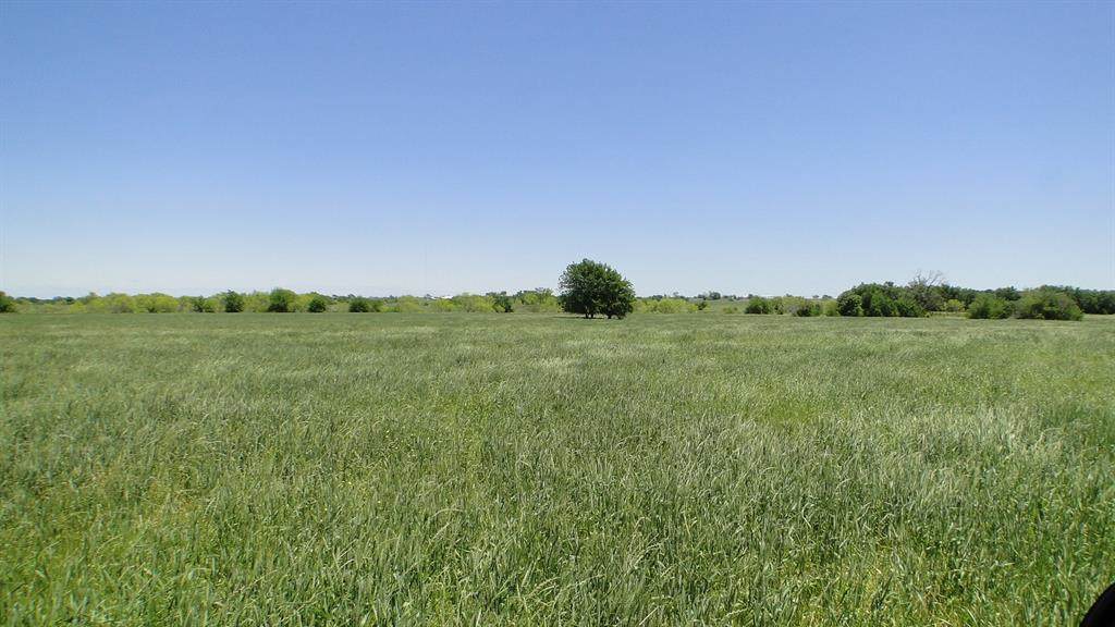 24030 Fm 429 Road - Photo 1