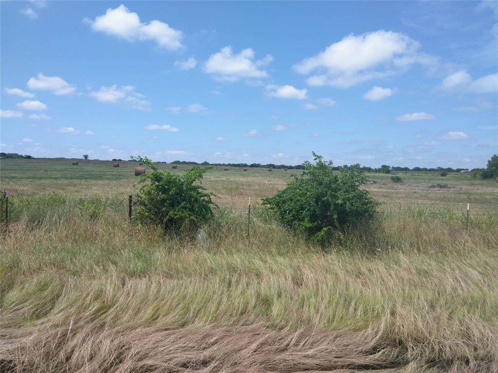 TBD 1 Fm 3133 Road - Photo 1 TBD 1 Fm 3133 Road - Photo 1