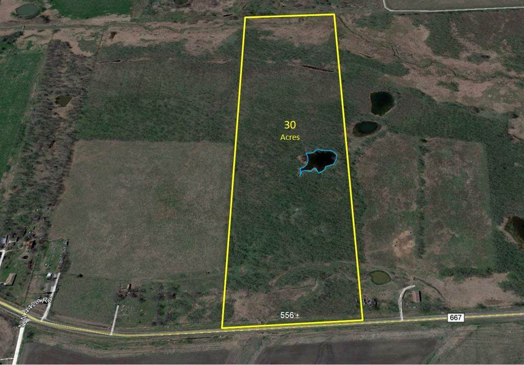 30 acre Fm 667 - Photo 1