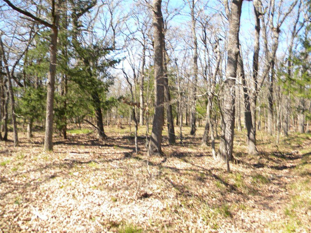524 Comanche Trail - Photo 1