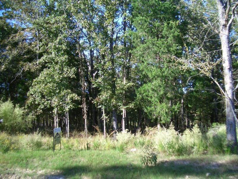 Lt 454 Safari Bluff - Photo 1
