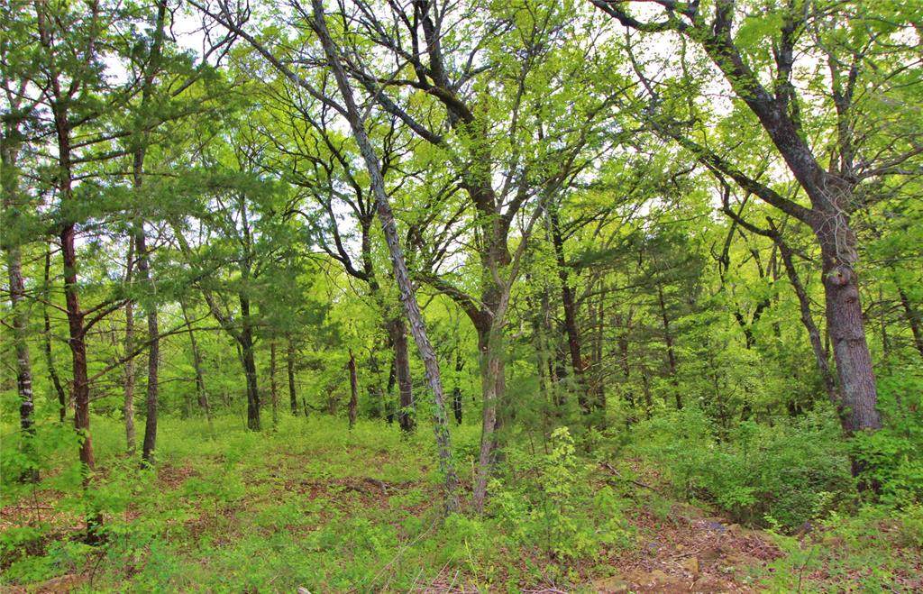 Lot 2 Lakecrest Drive - Photo 1