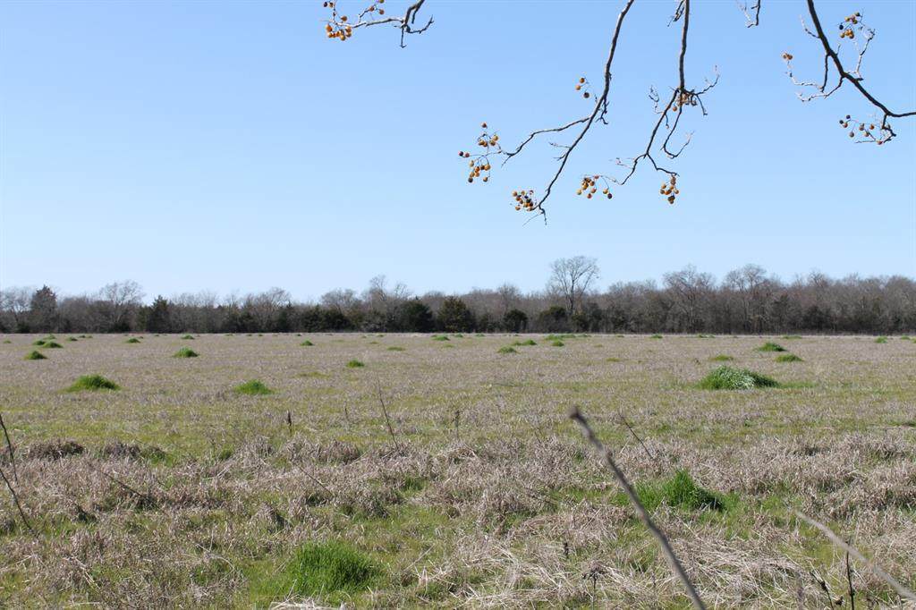Tract 7 Cr 2216 - Photo 1 Tract 7 Cr 2216 - Photo 1