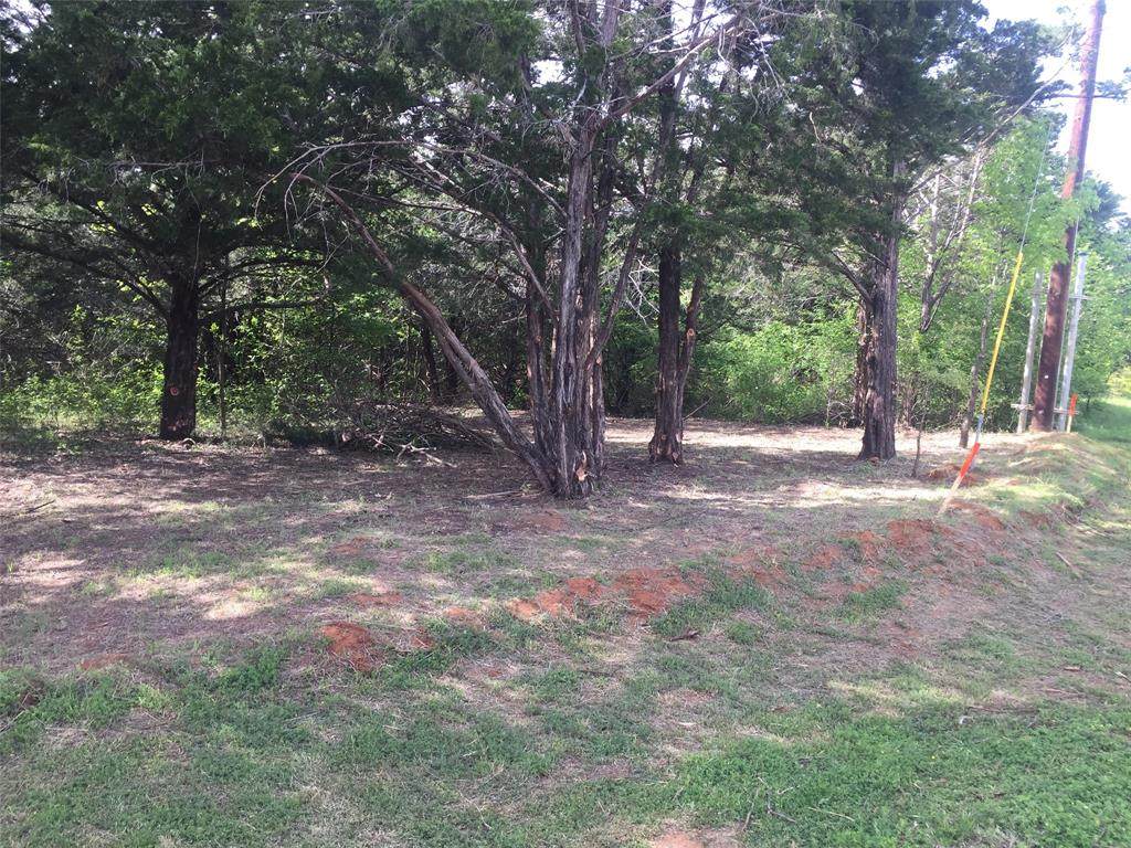 740 Pamilla Drive - Photo 1