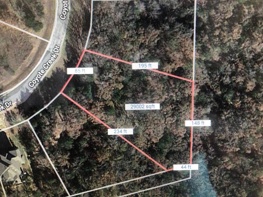 TBD Coyote Creek Drive - Photo 1