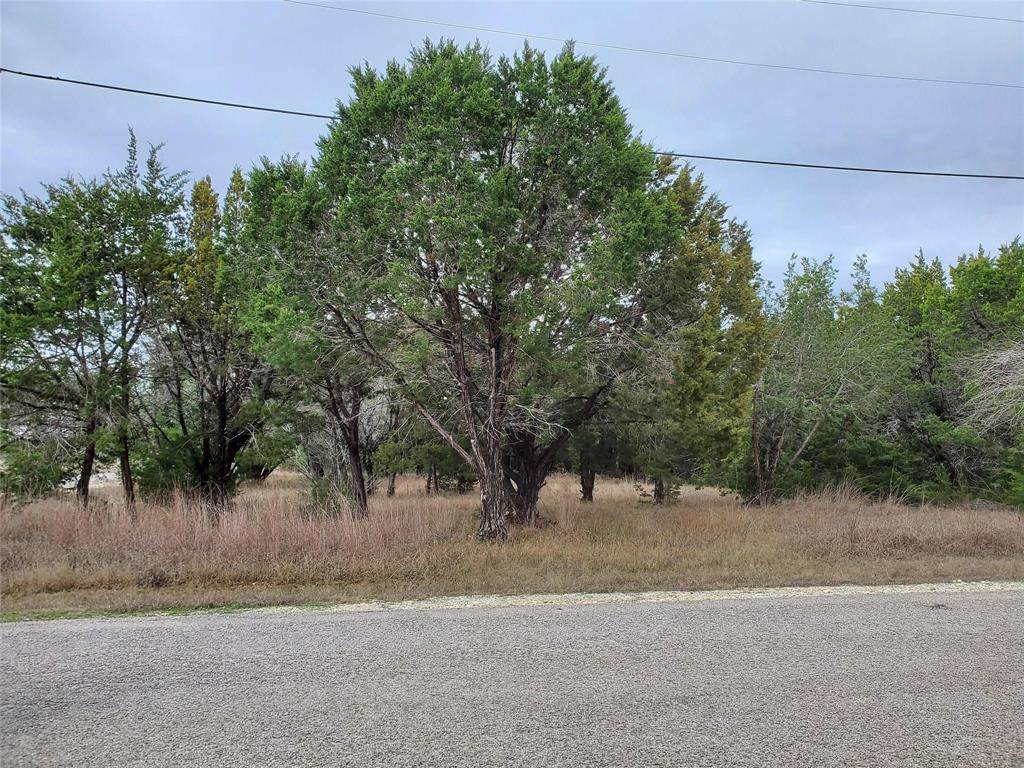 1559 Whitecrest Drive - Photo 1