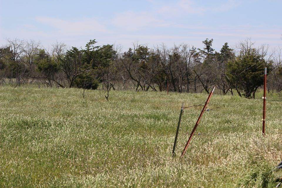 TBD N 1680 Rd E1630 - Photo 1