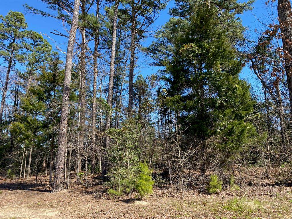 7112 Shaddock Ridge - Photo 1