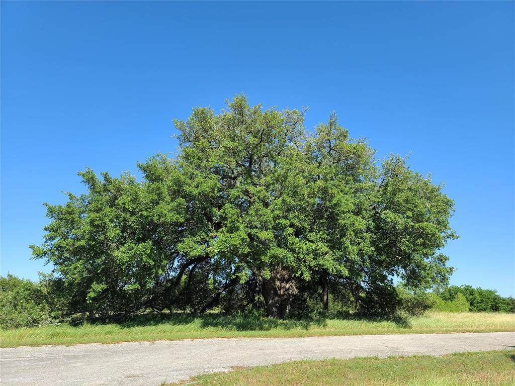 37013 Woodacre Drive - Photo 1