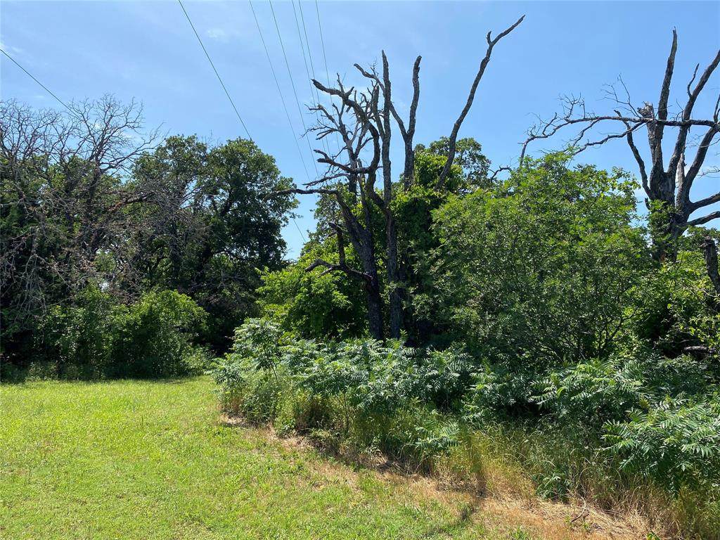 337 Mount Gilead Road - Photo 1