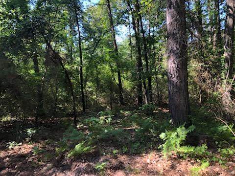 TBD Holly Lake Ranch - Photo 1
