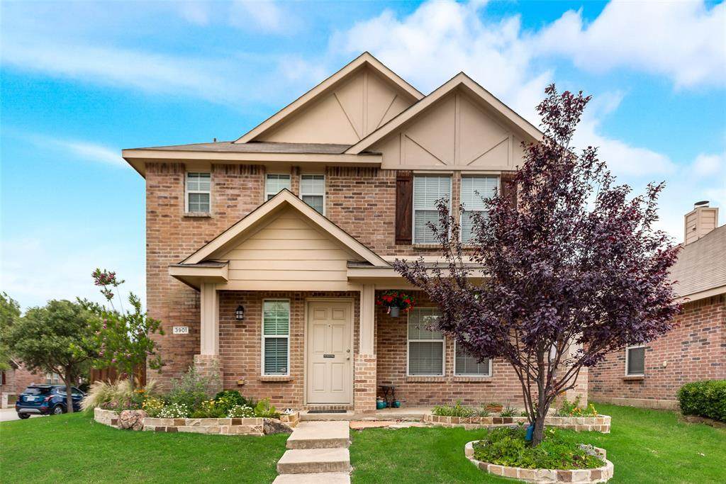 3901 Camino Real Trail - Photo 1 3901 Camino Real Trail - Photo 1