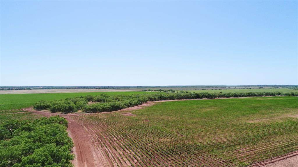 4172-B Fm 2131 - Photo 1 4172-B Fm 2131 - Photo 1