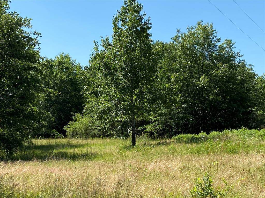 15 ac County Road 3524 - Photo 1