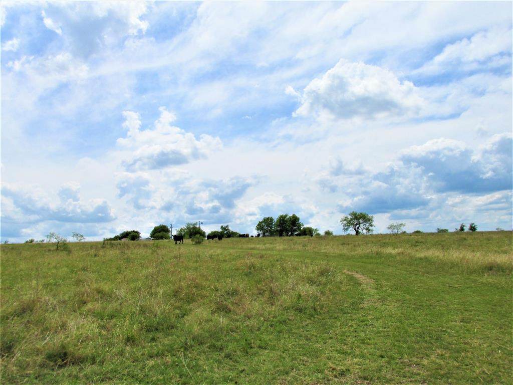 2290 County Road 112 Road - Photo 1
