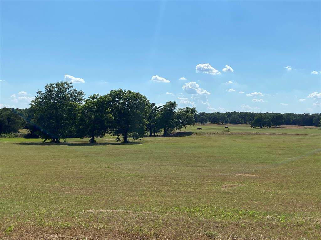 TBD Cr 223 - Photo 1