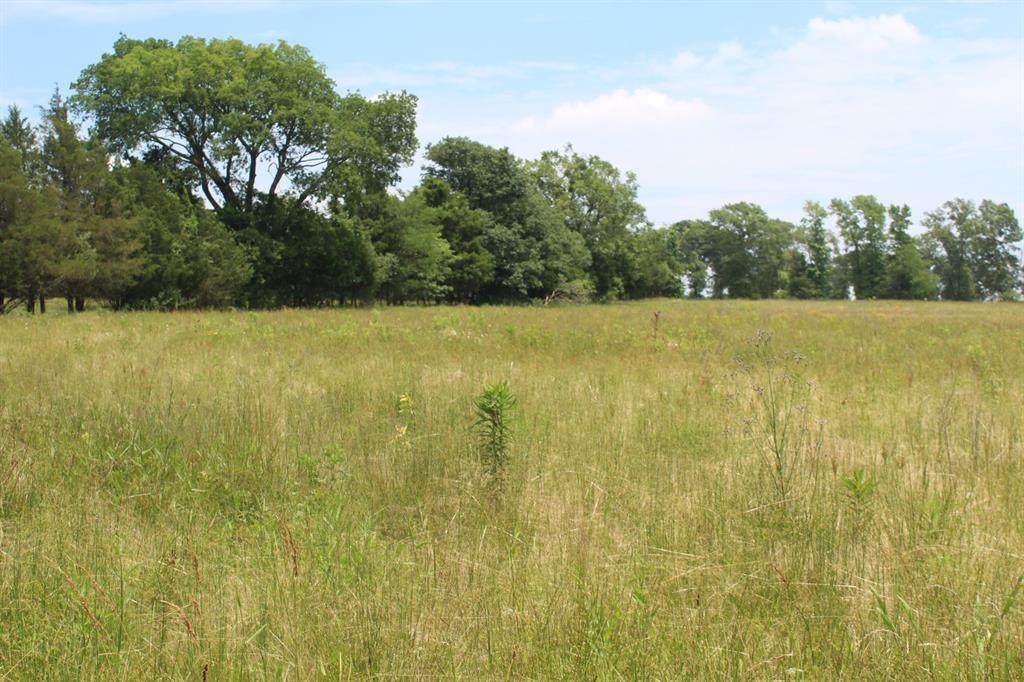 000 1150 - Photo 1