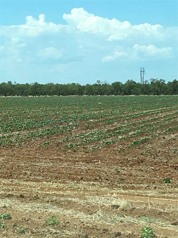 62 AC Cr 134 - Photo 1