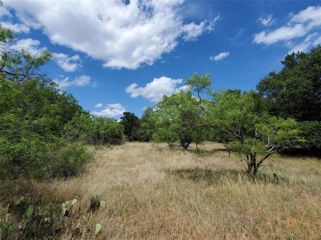 4025 Fm 2525 - Photo 1