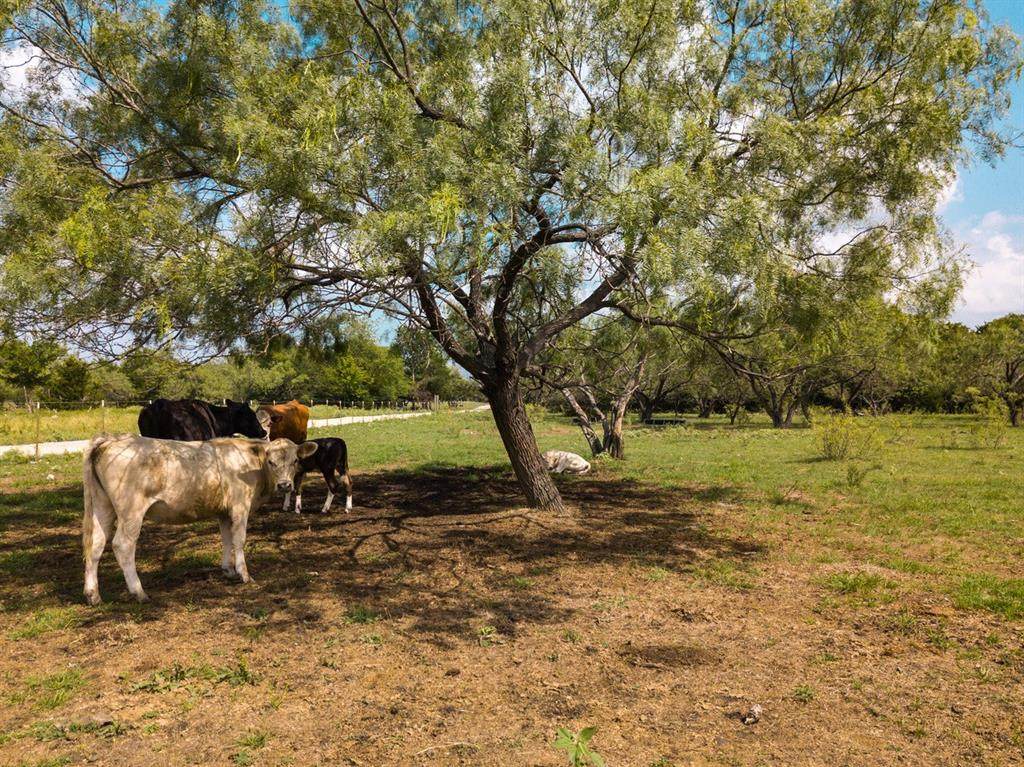 7572 Fm 2578 Road - Photo 1