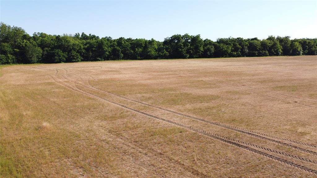 Lot 7 Fm 36 - Photo 1