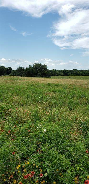 0 County Road 304 - Photo 1