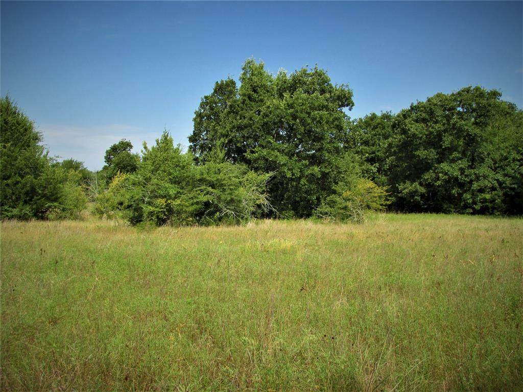 TBD Cr 2070 Road - Photo 1