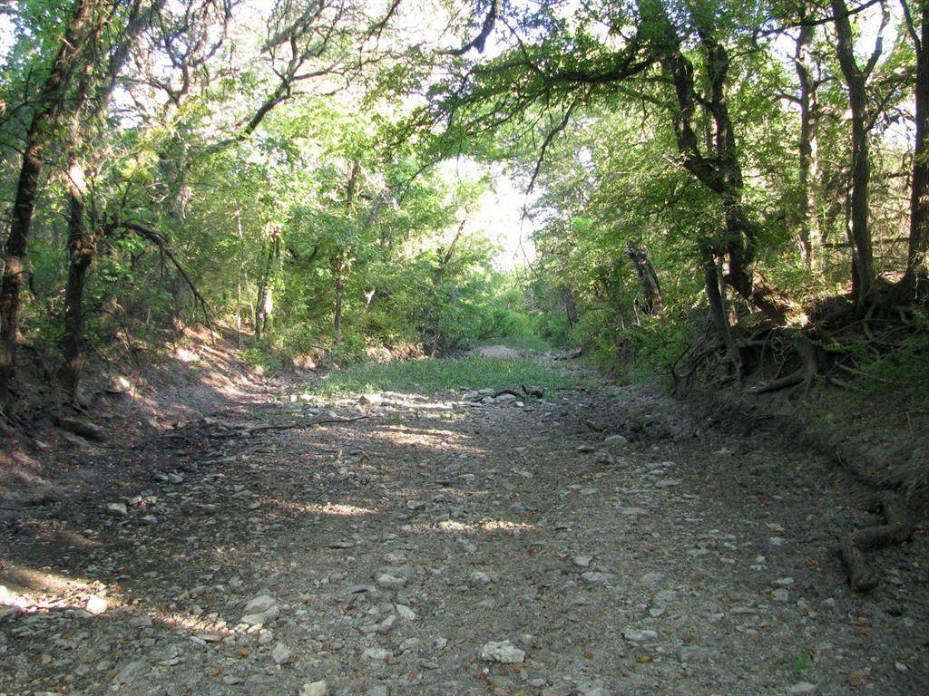 TBD County Rd 180 - Photo 1