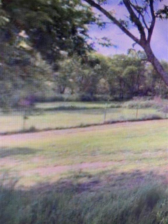 704 Crisp Road - Photo 1