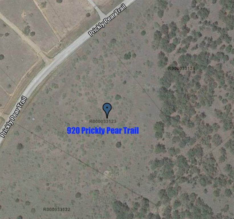 920 Prickly Pear Trail - Photo 1