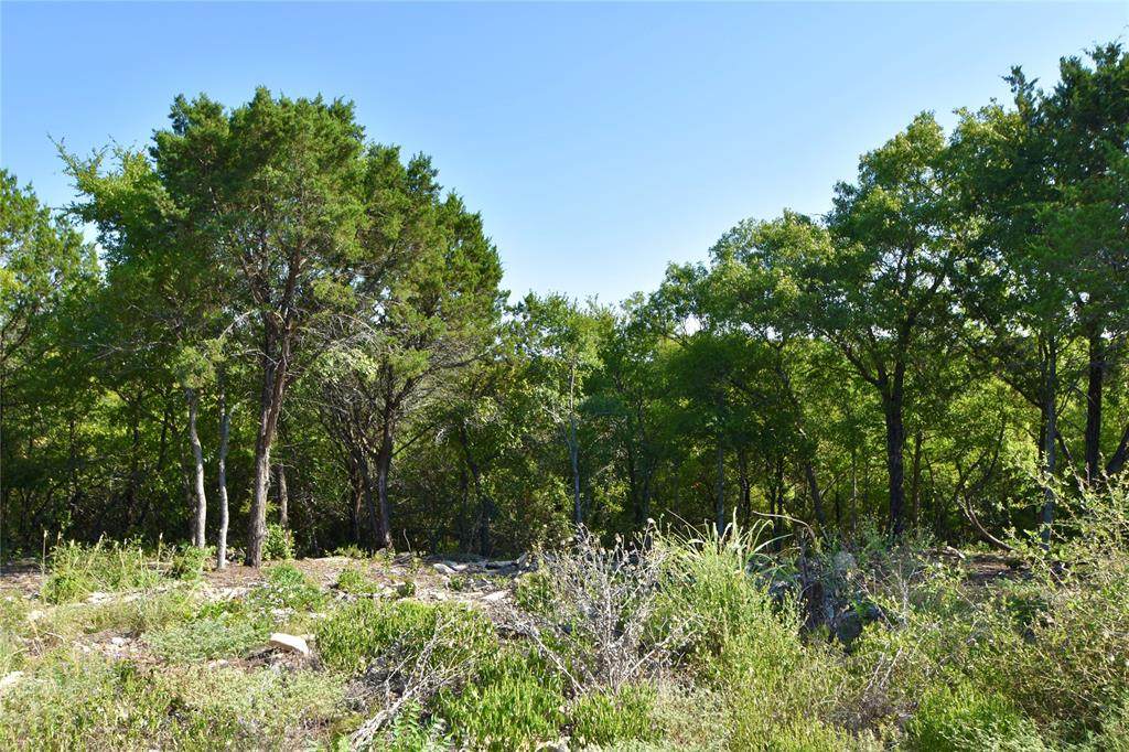 3735 Skyline - Photo 1